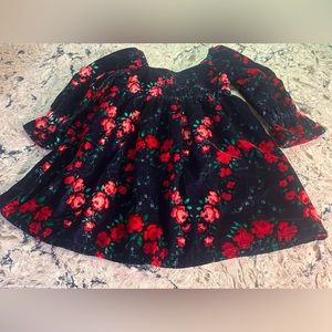 Janie and Jack Velvet Floral Dress